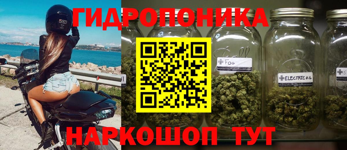 Конопля марихуана Карталы